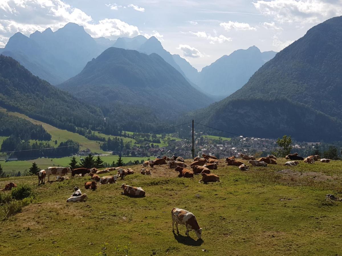 Zajček Apartma with sauna Mojstrana Bagian luar foto