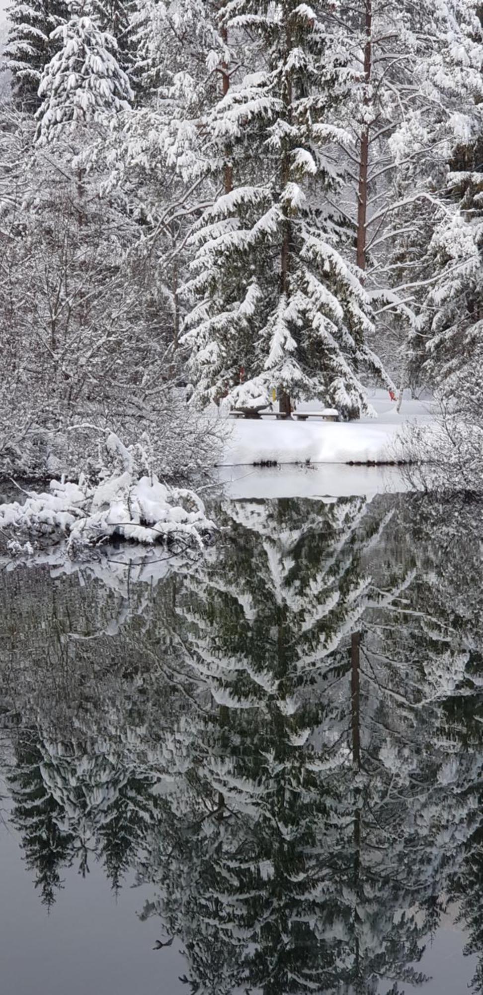 Zajček Apartma with sauna Mojstrana Bagian luar foto