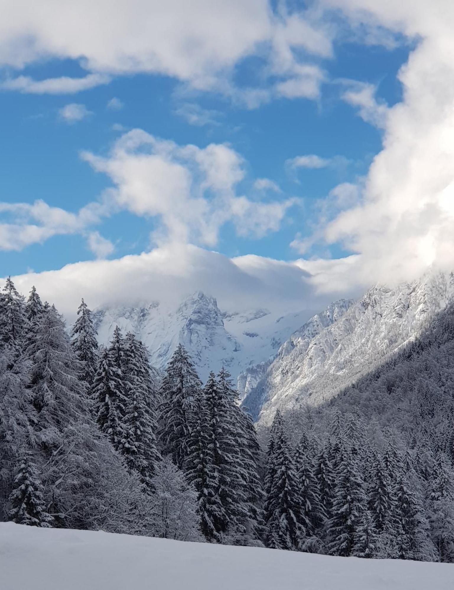 Zajček Apartma with sauna Mojstrana Bagian luar foto