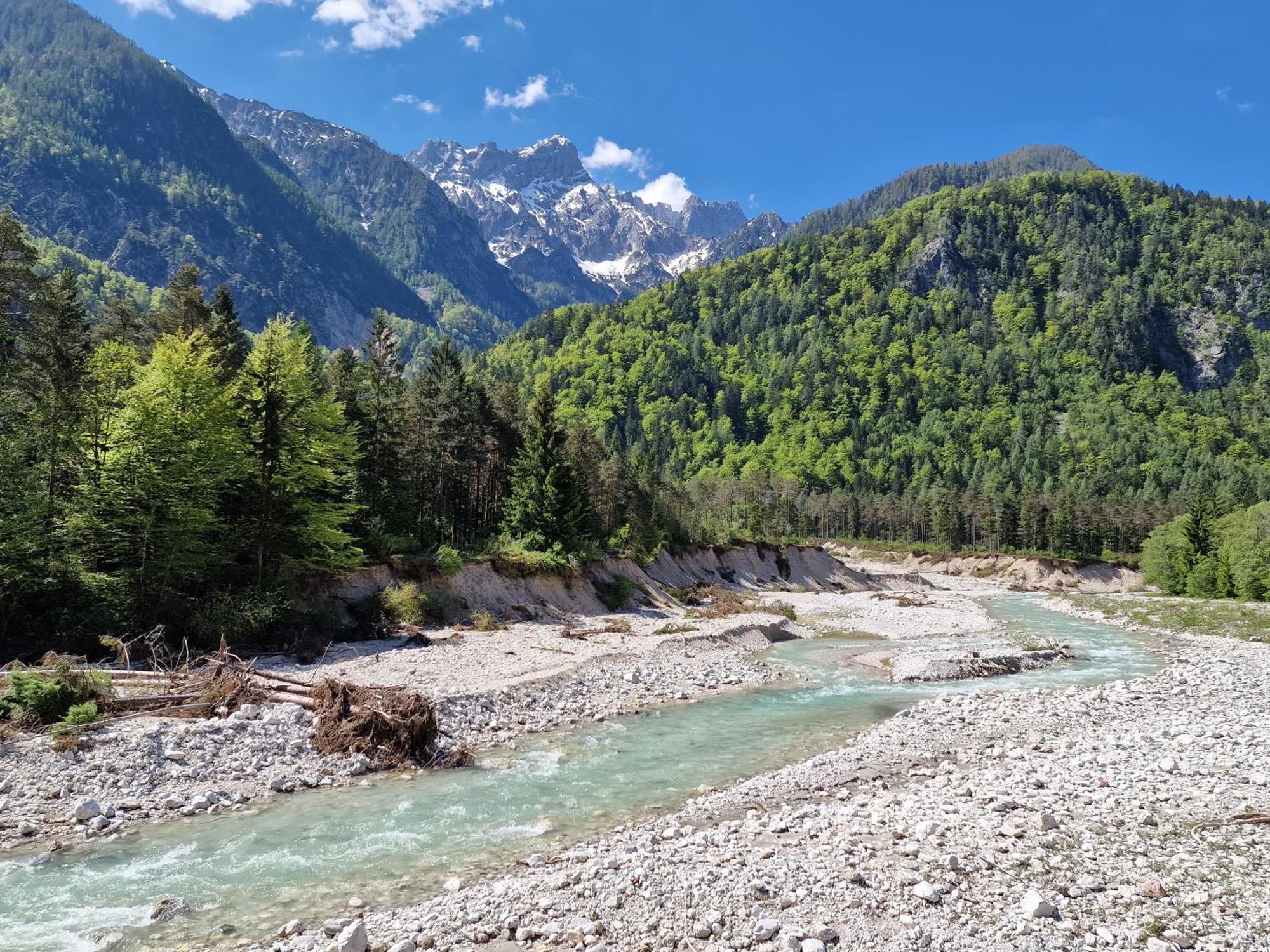 Zajček Apartma with sauna Mojstrana Bagian luar foto
