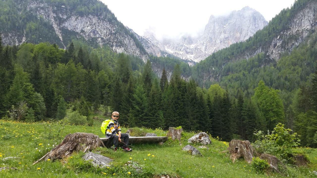 Zajček Apartma with sauna Mojstrana Bagian luar foto