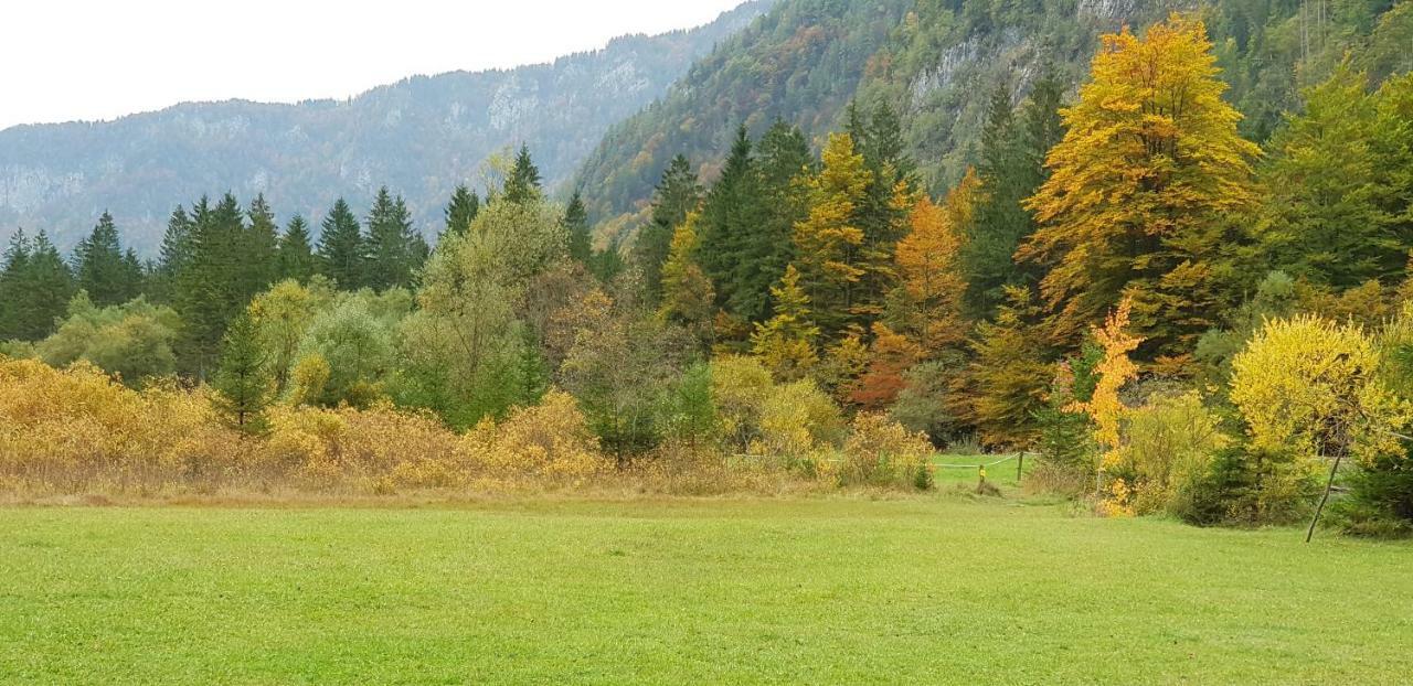 Zajček Apartma with sauna Mojstrana Bagian luar foto