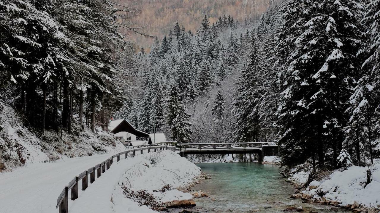 Zajček Apartma with sauna Mojstrana Bagian luar foto