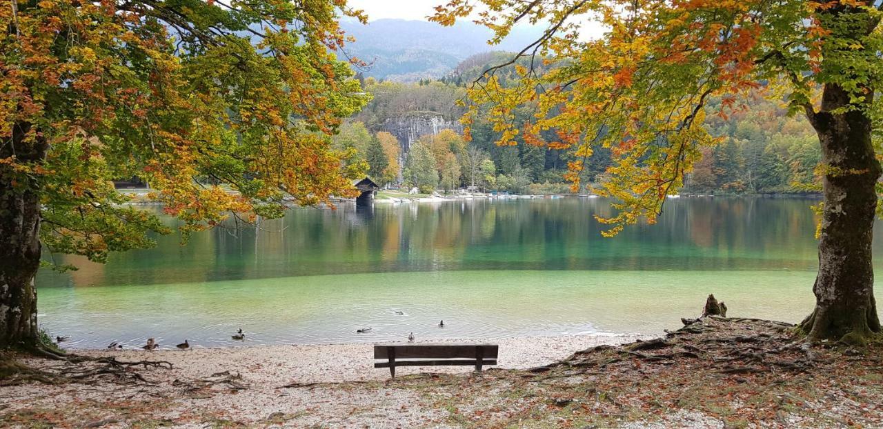 Zajček Apartma with sauna Mojstrana Bagian luar foto