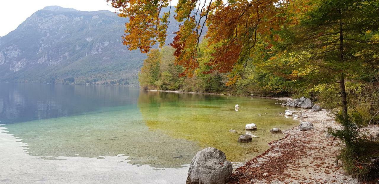 Zajček Apartma with sauna Mojstrana Bagian luar foto