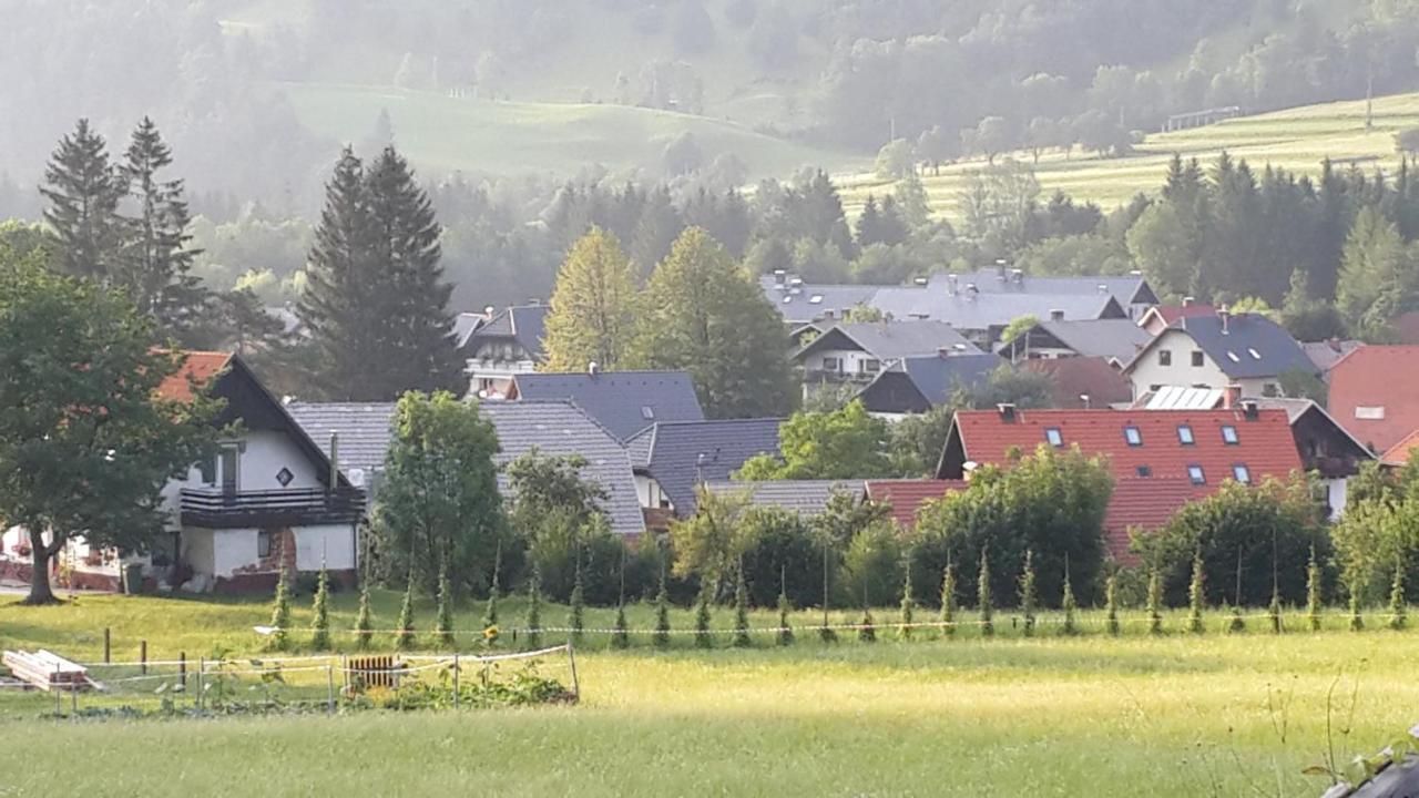 Zajček Apartma with sauna Mojstrana Bagian luar foto