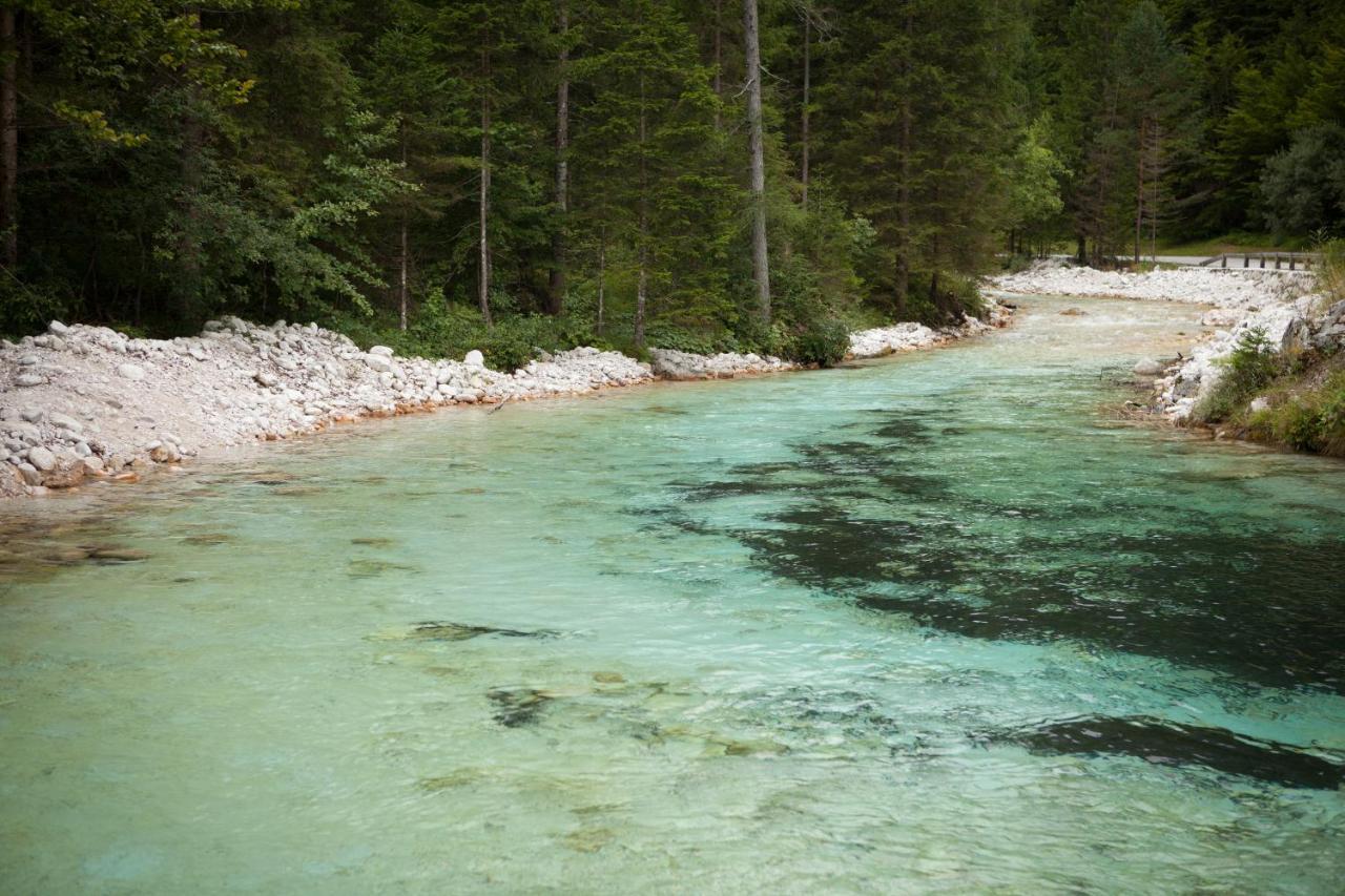 Zajček Apartma with sauna Mojstrana Bagian luar foto